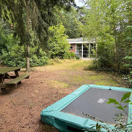 Relaxen In Het Bos Met Privesauna Холтен Екстериор снимка