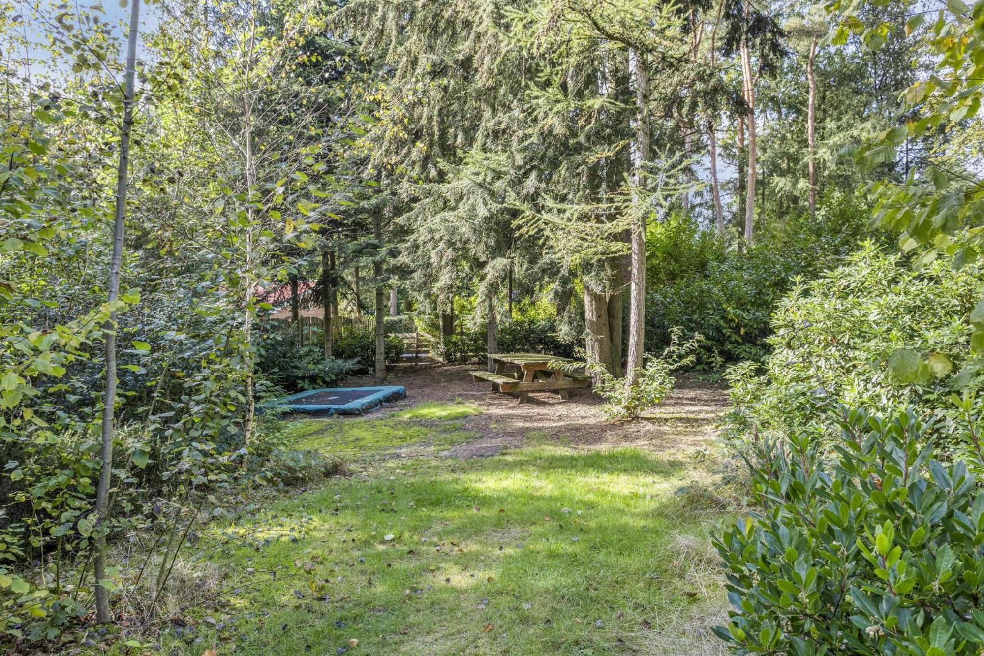 Relaxen In Het Bos Met Privesauna Холтен Екстериор снимка