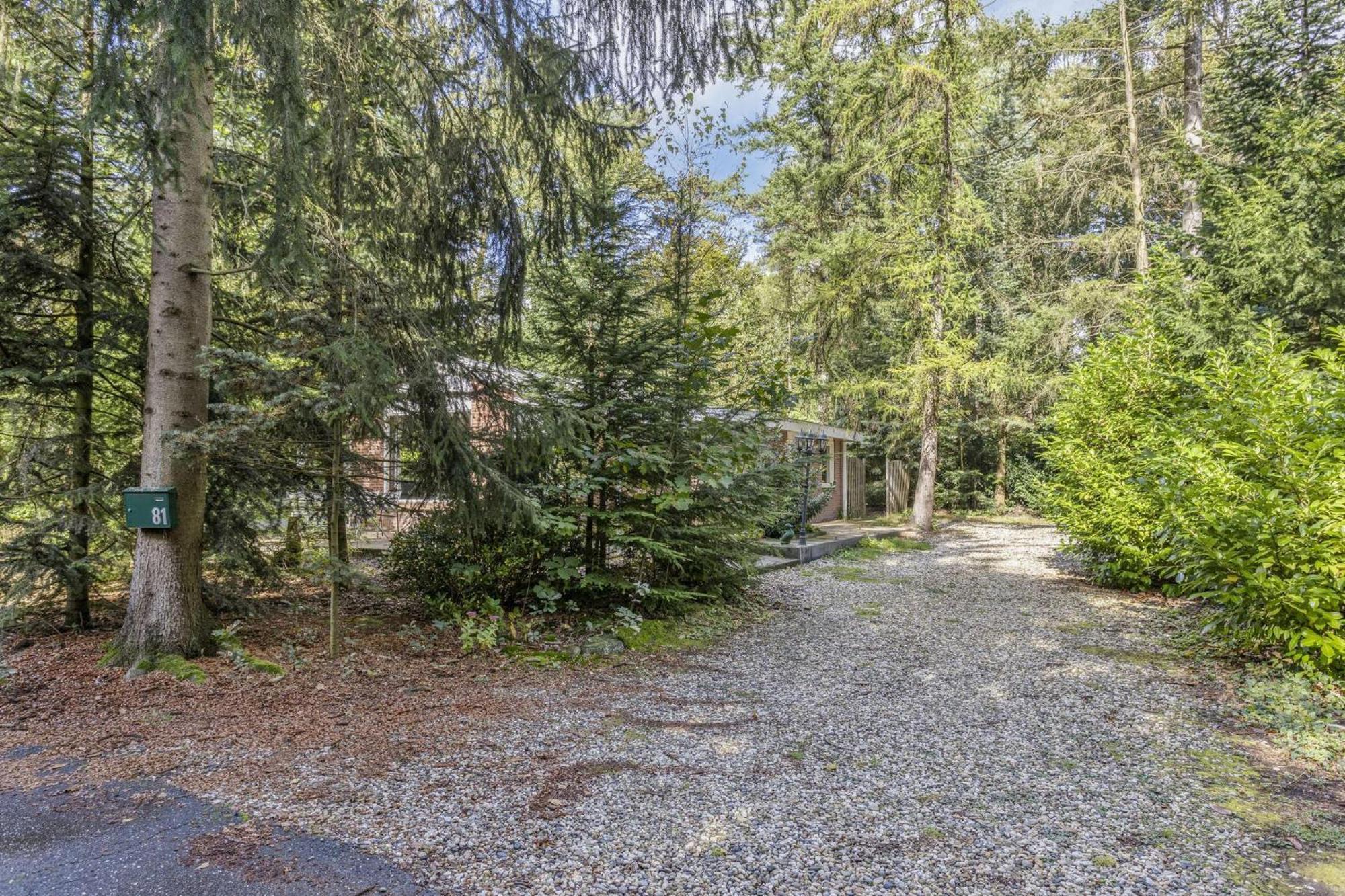 Relaxen In Het Bos Met Privesauna Холтен Екстериор снимка